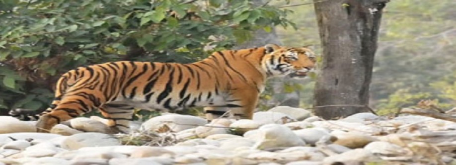 Jim Corbett Safari Booking