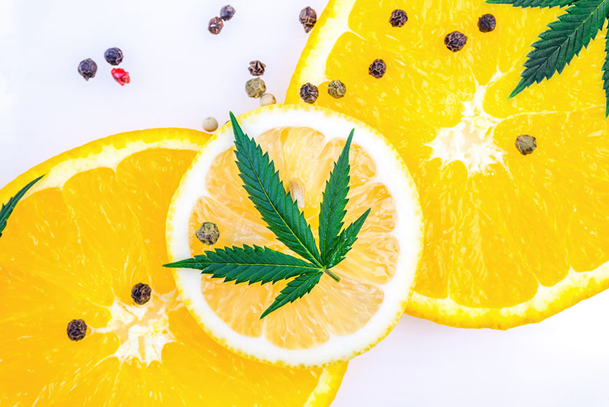 Weed Terpenes: What They Are And How They Impact Your High