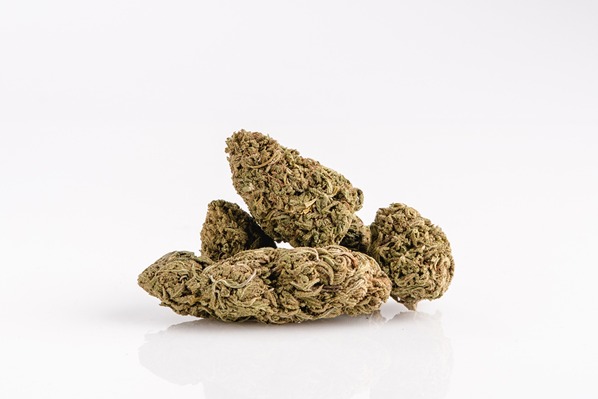 Budget Bud Strains; 5 Cheap Buds Available Online In Canada