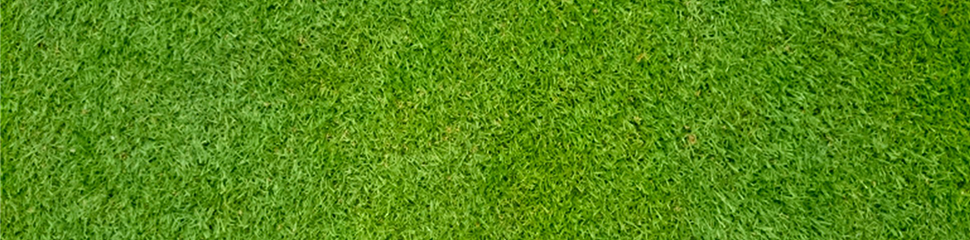Couch Grass Types | Santa Ana Couch Turf | Paul Munns Instant Lawn