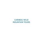 Caribou Wild Mountain Tours