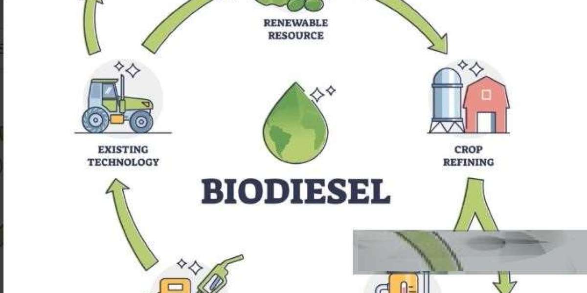 Biodiesel Market Size & Advancements | Ag Processing, Chevron, Neste