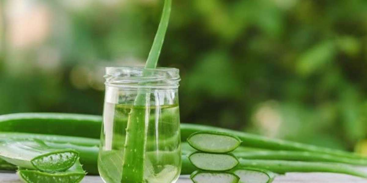 Understanding the Insights and Requirements to Setup Aloe Vera processing Plant Project