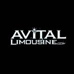 AVITAL CHICAGO PARTY BUS AND LIMOUSINE