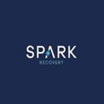 Spark Recovery