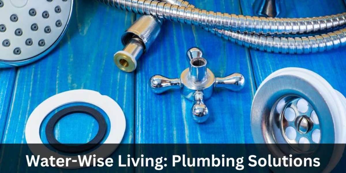 Water-Wise Living: Plumbing Solutions