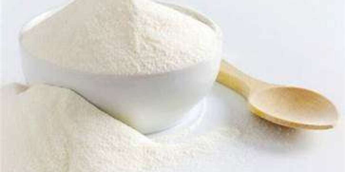 United States Milk Powder Market Size and Global Forecast Report 2024-2030