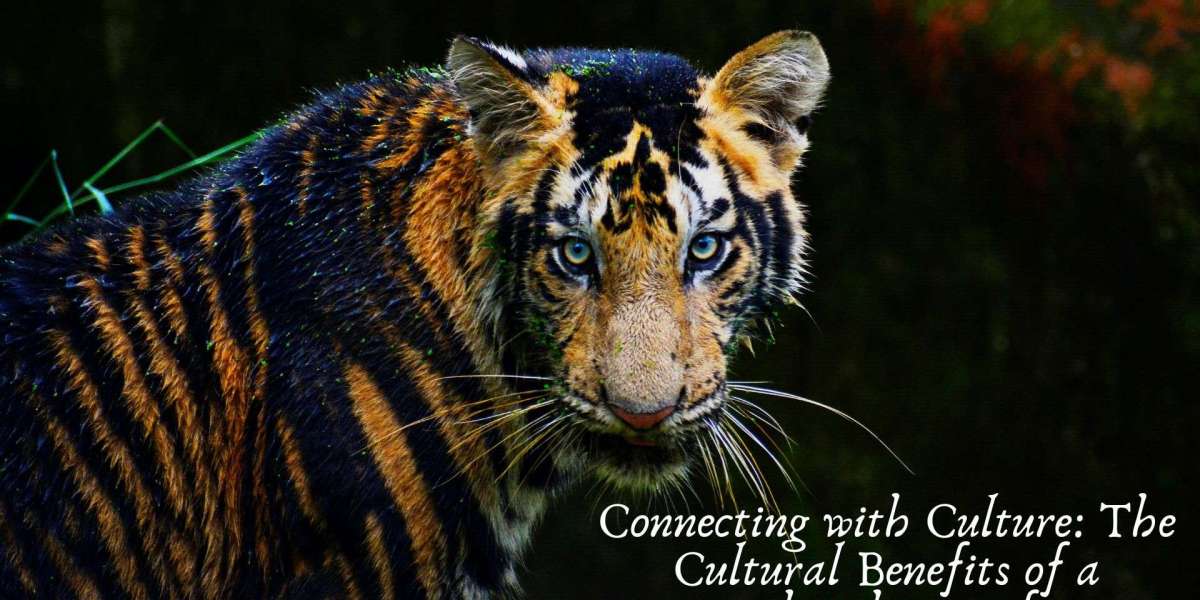 Connecting with Culture: The Cultural Benefits of a Ranthambore Safari