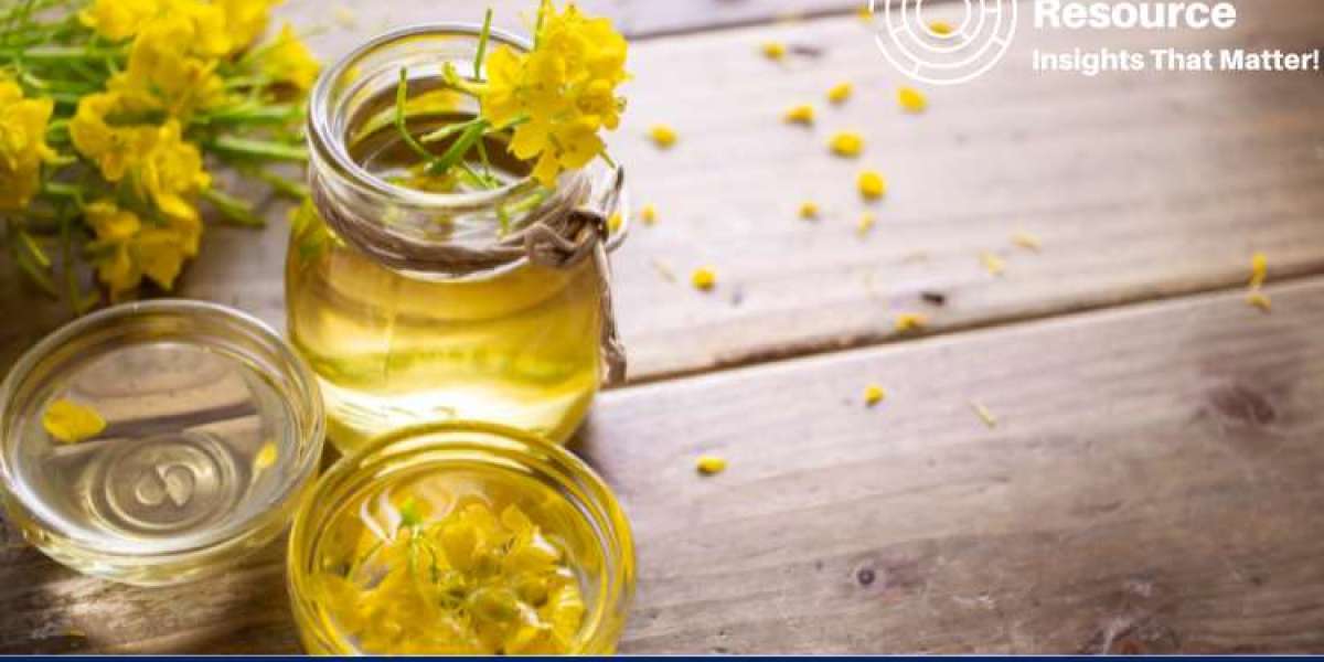 Unveiling the Rapeseed Oil Price Trend: Insights and Analysis