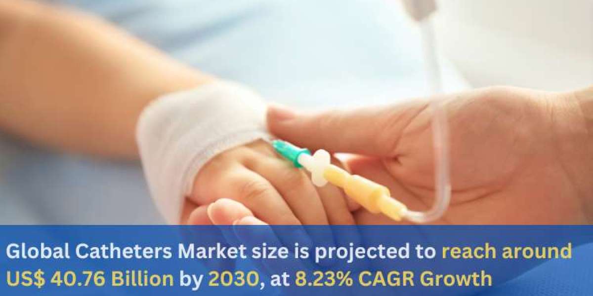 Global Catheter Market And Forecast Report 2024-2032