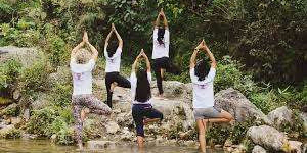 Rishikesh Awaits: Plan Your Perfect Yoga Retreat