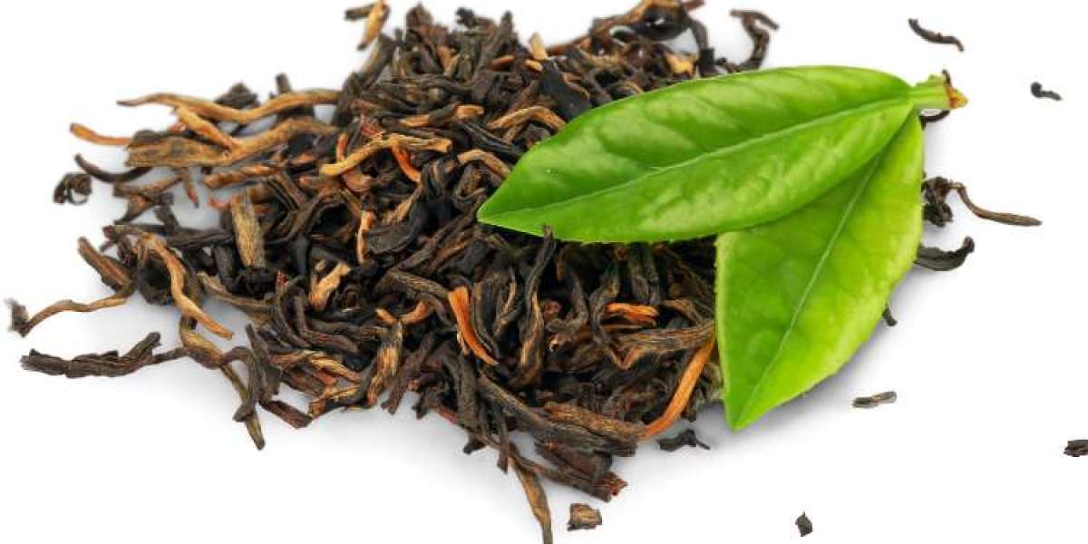 Global Tea Market Size and Forecast Report 2024-2032