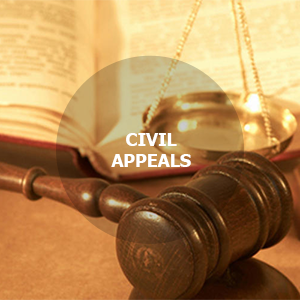 Best Civil Appeals Lawyers | Best Civil Attorney | Brownstone Law