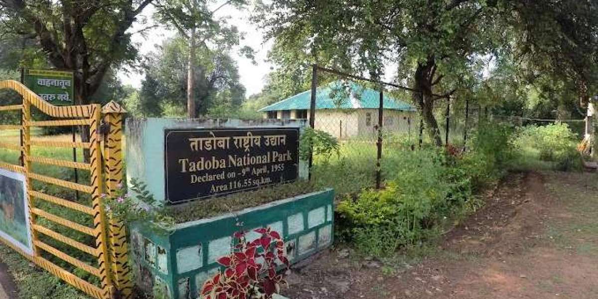 The Impact of Monsoons on the Flora of Rajaji and Tadoba