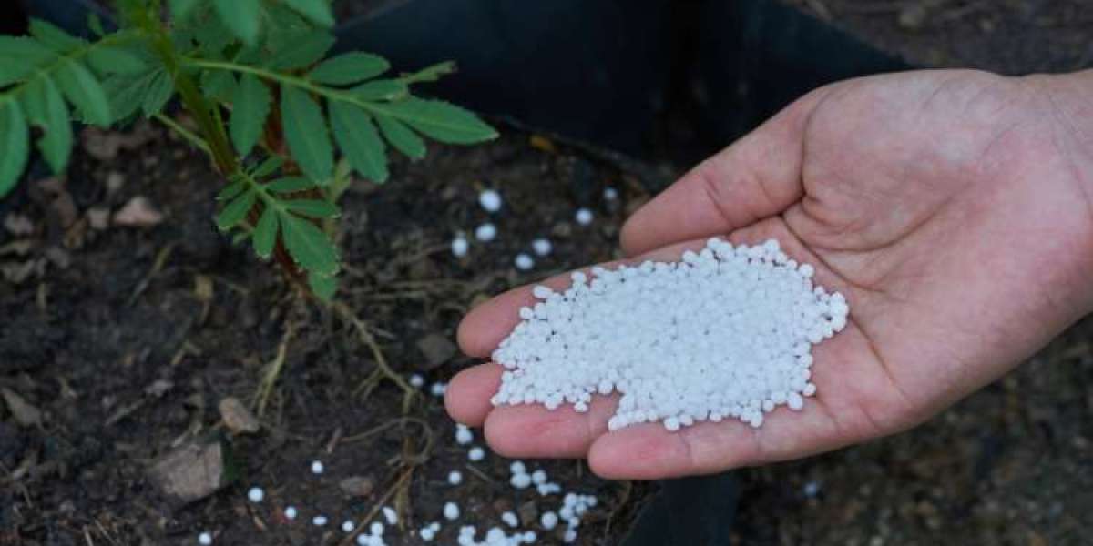 Europe Fertilizer Market Size And Forecast Report 2024-2030