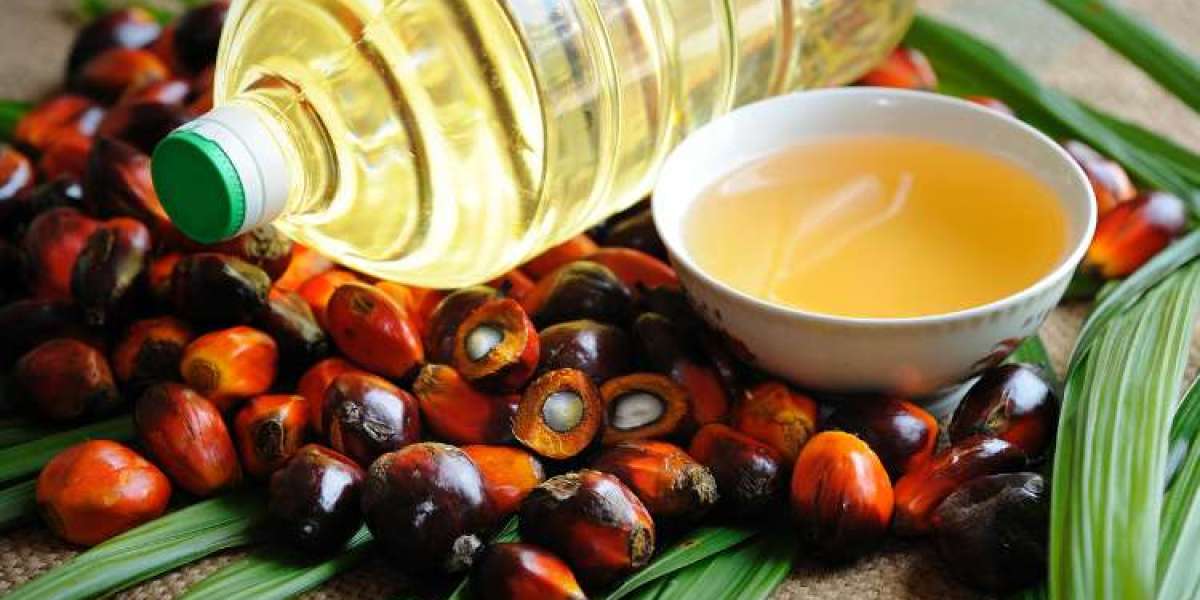 Global Palm Oil Market Size And Forecast Report 2024-2032