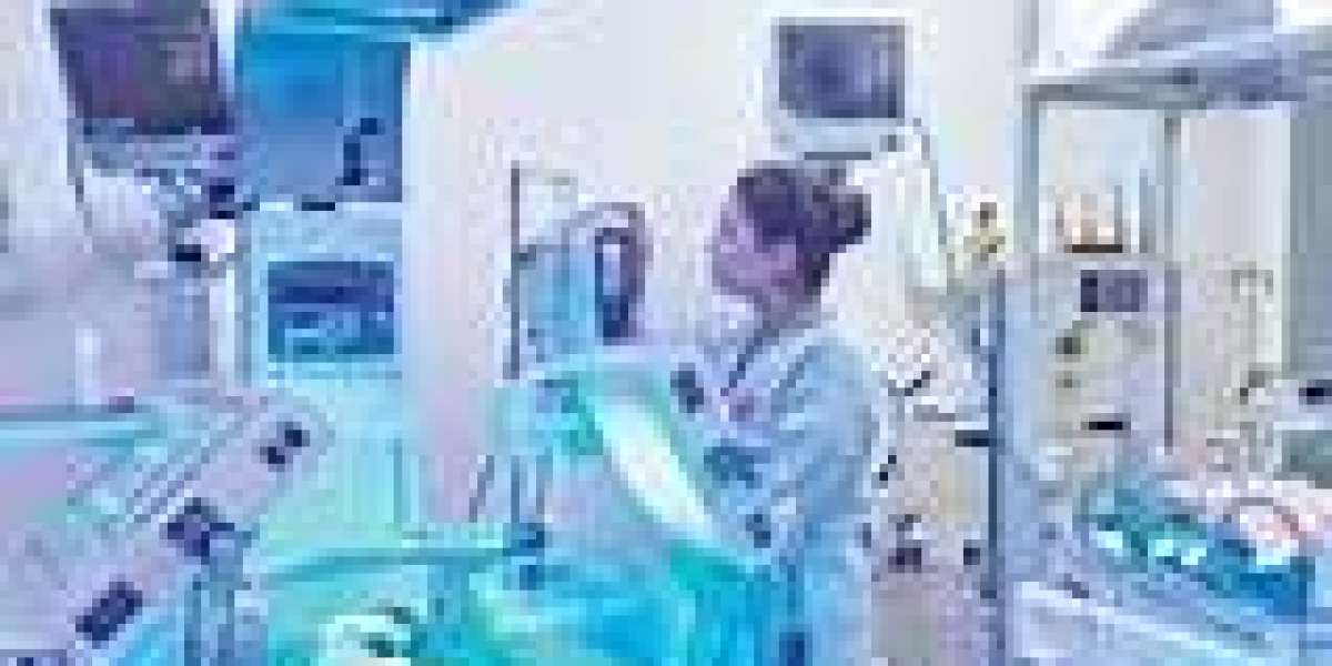 Global Neonatal Intensive Care Market Analysis Forecast Report 2024-2030