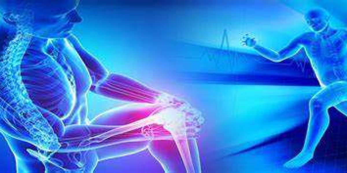 Sports Medicine Market Size And Forecast Report 2024-2032