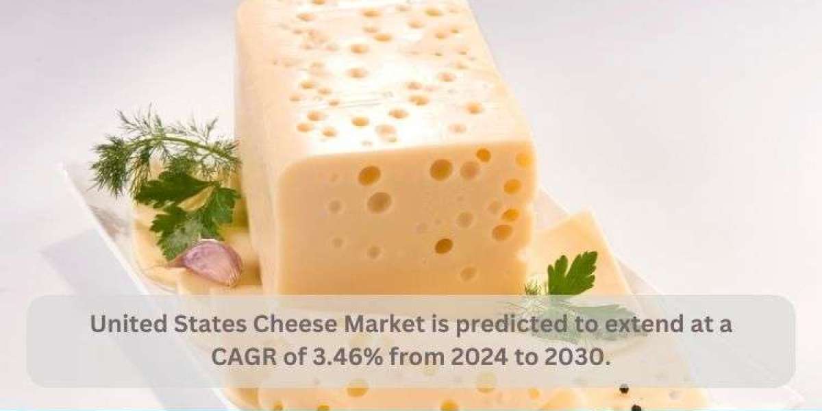 United States Cheese Market Analysis Forecast Report 2024-2030