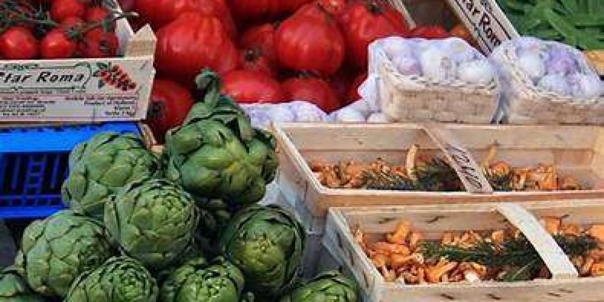 Europe Organic Food Market Size And Forecast Report 2024-2032