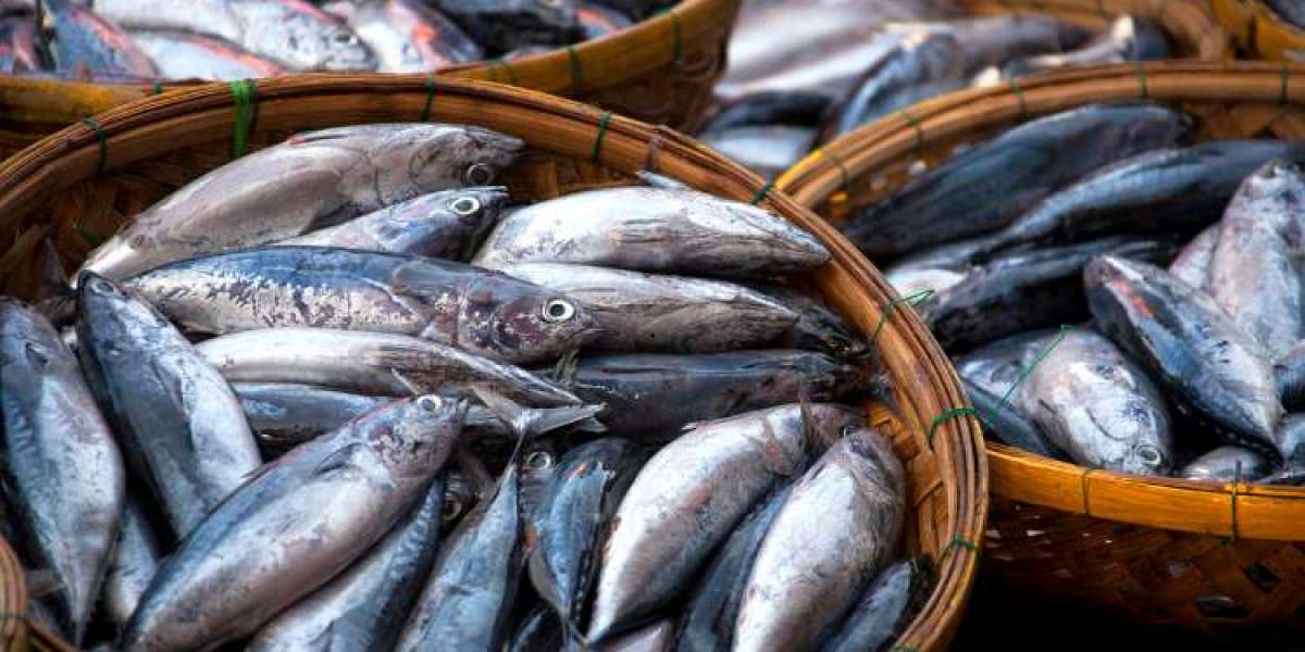 Tuna Fish Market Size And Forecast Report 2024-2032