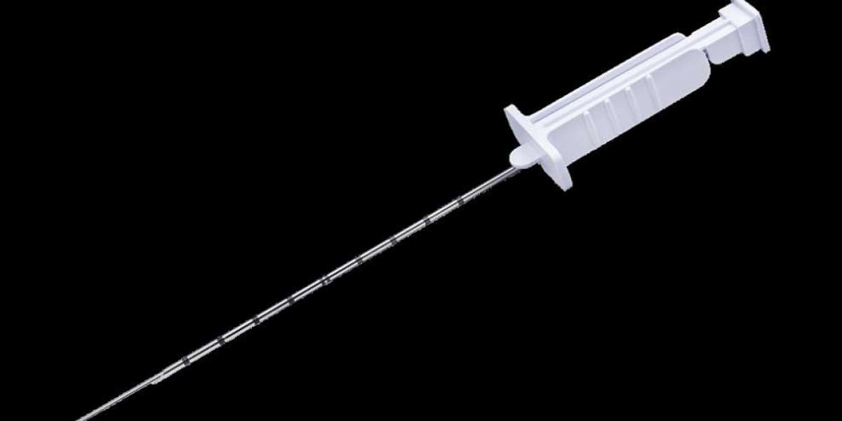 Europe Biopsy Devices Market Size And Forecast Report 2024-2032