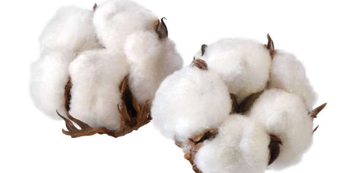 Global Cotton Market Size And Report Forecast 2024-2032