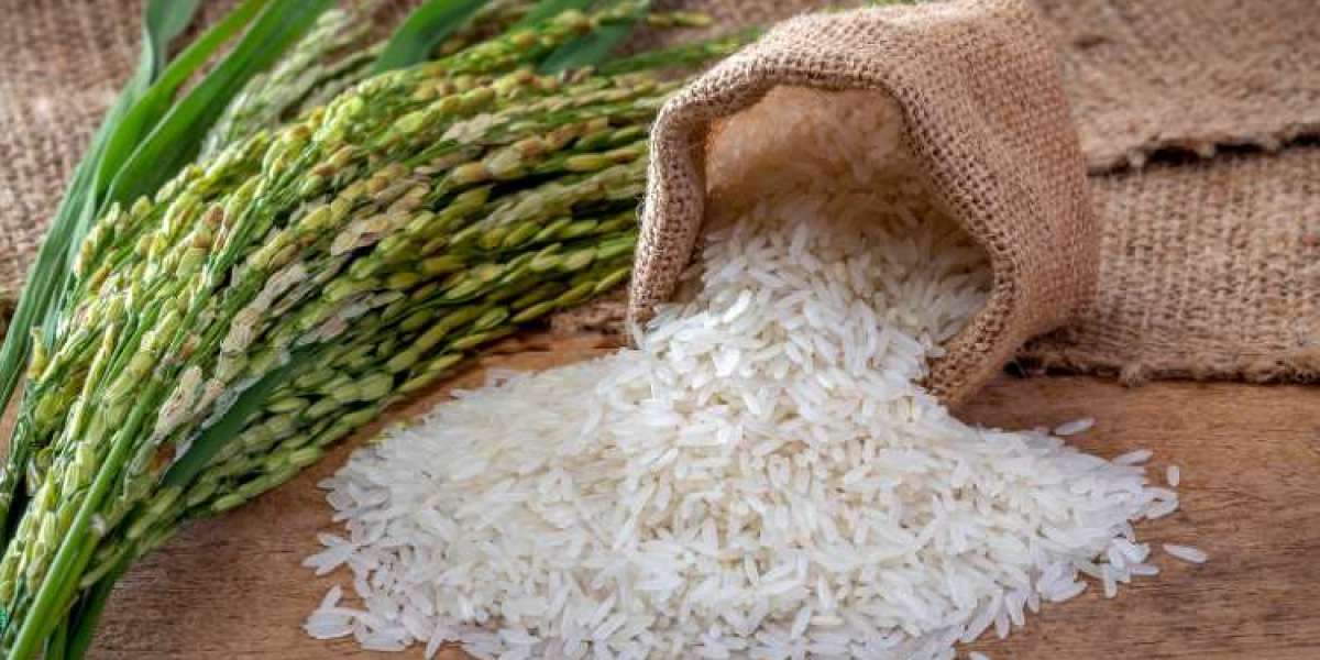 Global Rice Market Size And Report Forecast 2024-2032