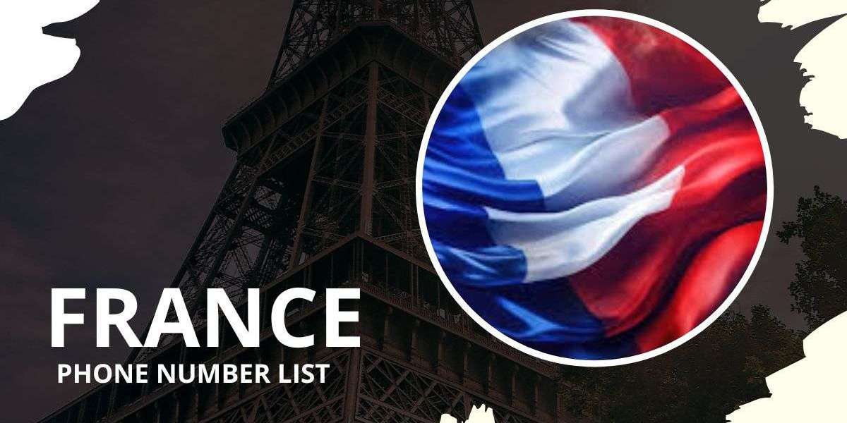 France Phone Number List: A Comprehensive Tool for Targeted Marketing Success