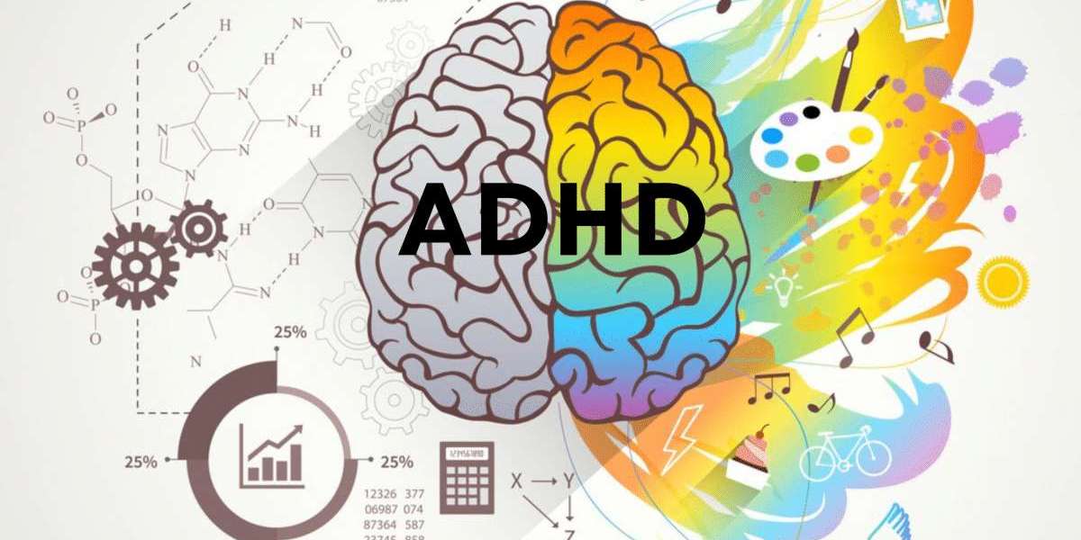 Understanding the Role of Non-Stimulants in ADHD Management