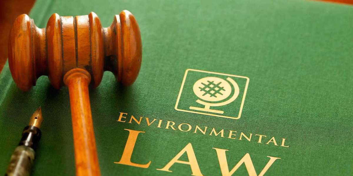 Best Environmental Law Jobs: Where to Find Opportunities