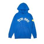 blue spider hoodie