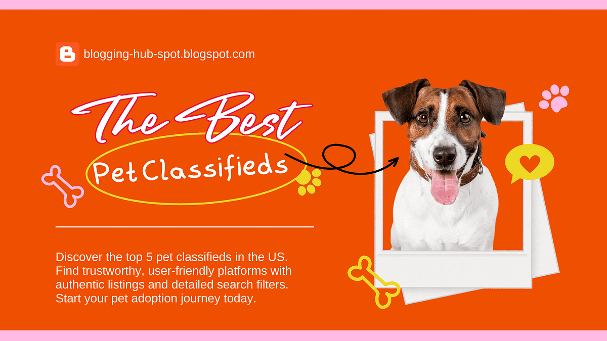 Top 5 Pet Classifieds Websites in the US | by Rohit | Medium