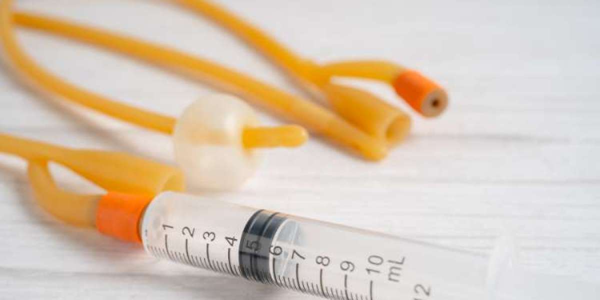 global catheter market Size And Forecast Report 2024-2032