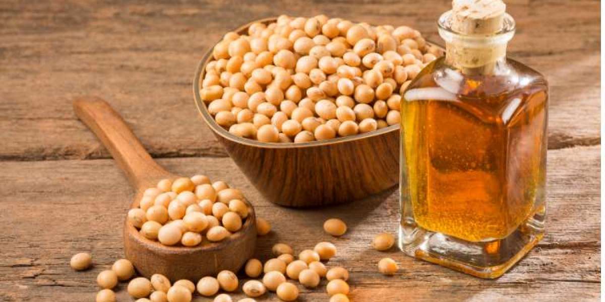 Soybean Oil Market Size And Forecast Report 2024-2032