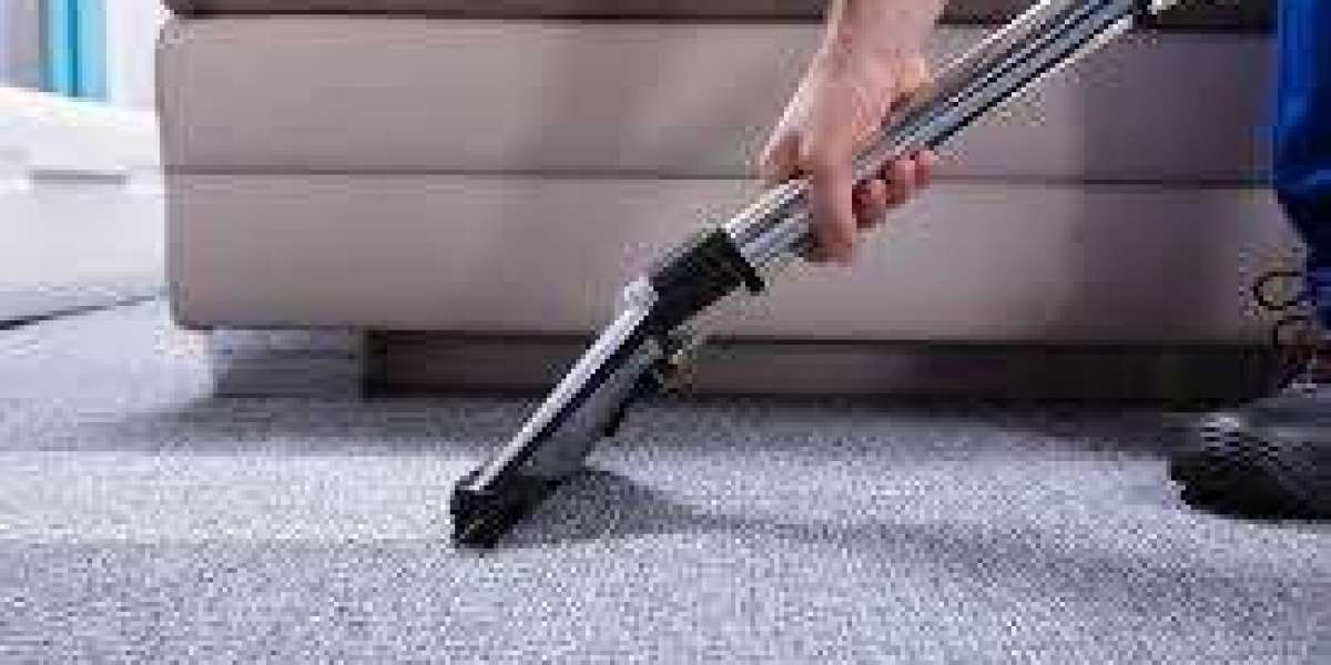 Why Professional Carpet Cleaning Is Important for Home Wellness