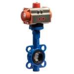 Pneumatic Actuated Valve