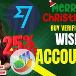 Buy Verified Wise Accounts