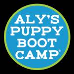 Alyspuppybootcamp