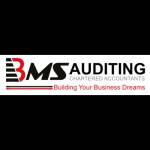 BMS Auditing
