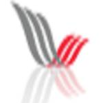 SEO Agency In Gurgaon India