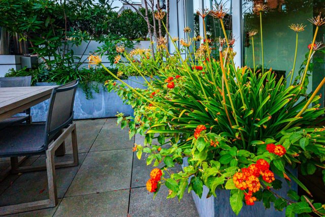Bringing Nature Indoors: The Benefits of Interior Plant Service in New York City – @plants-growth on Tumblr