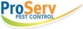 Best Termite Control Singapore | Termite Exterminator