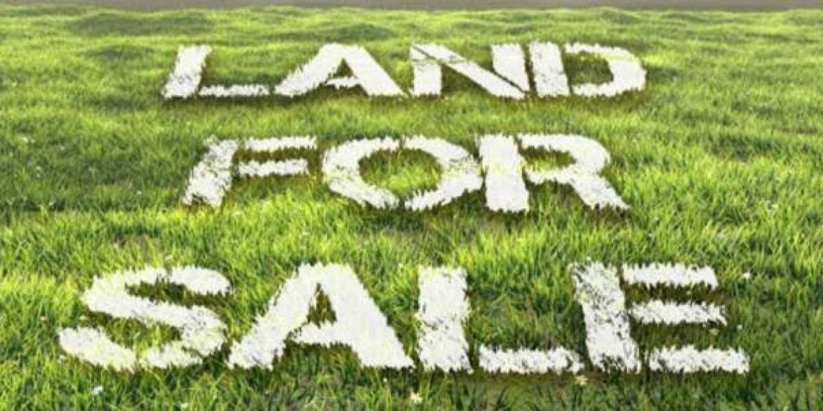 Why Open Plots in Guntur Are a Smart Investment