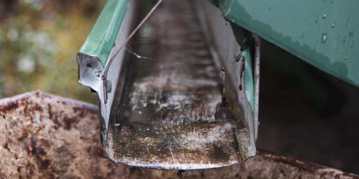 Septic system maintenance: Tips to care for your septic system!