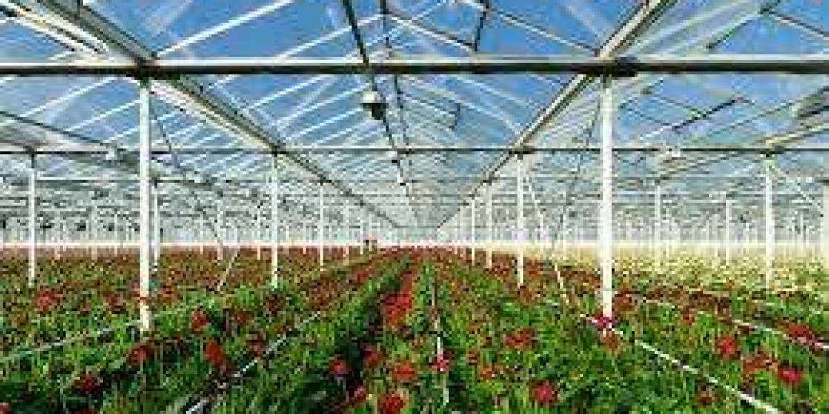 Revolutionizing Agriculture: An In-Depth Look at the Greenhouse Horticulture Market Forecast (2025–2031)
