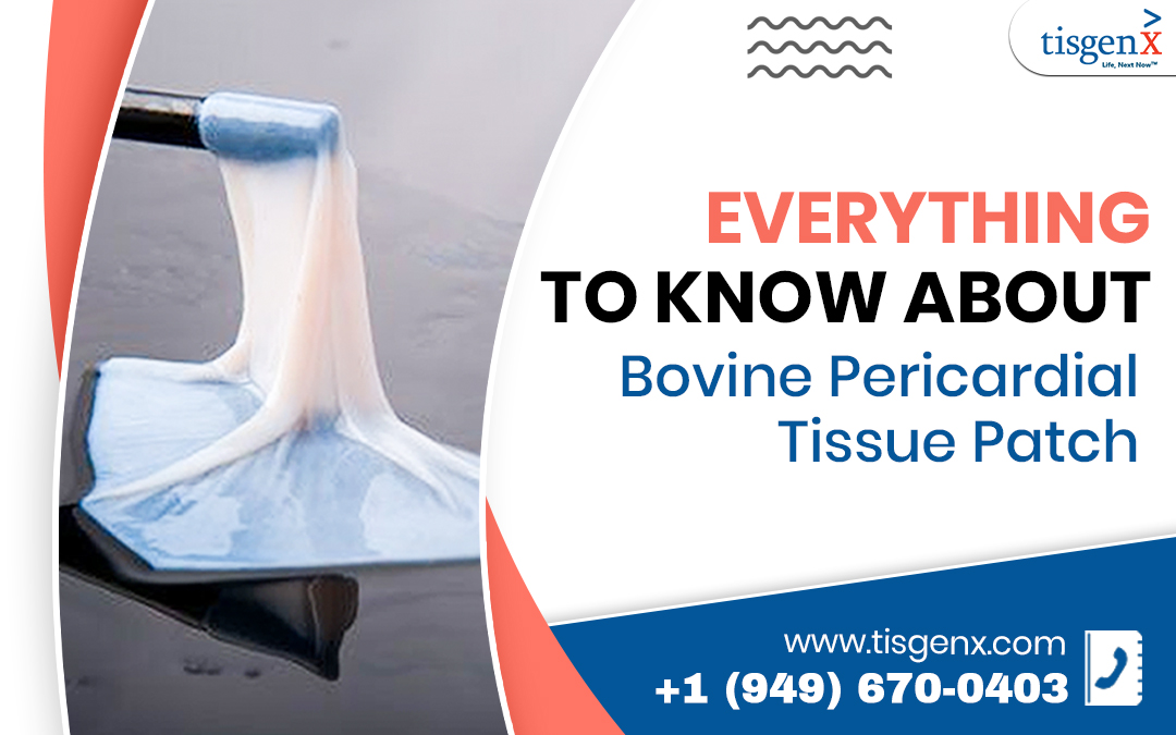 Everything to know about Bovine Pericardial Tissue Patch – Tisgenx, Inc