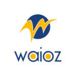 Waioz Consultancy Services