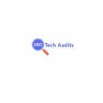 SEO Tech Audits Profile Picture