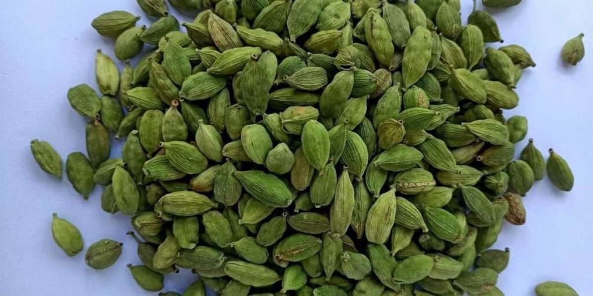 The Best Spices of Coorg: A Fragrant Journey Through the Hills